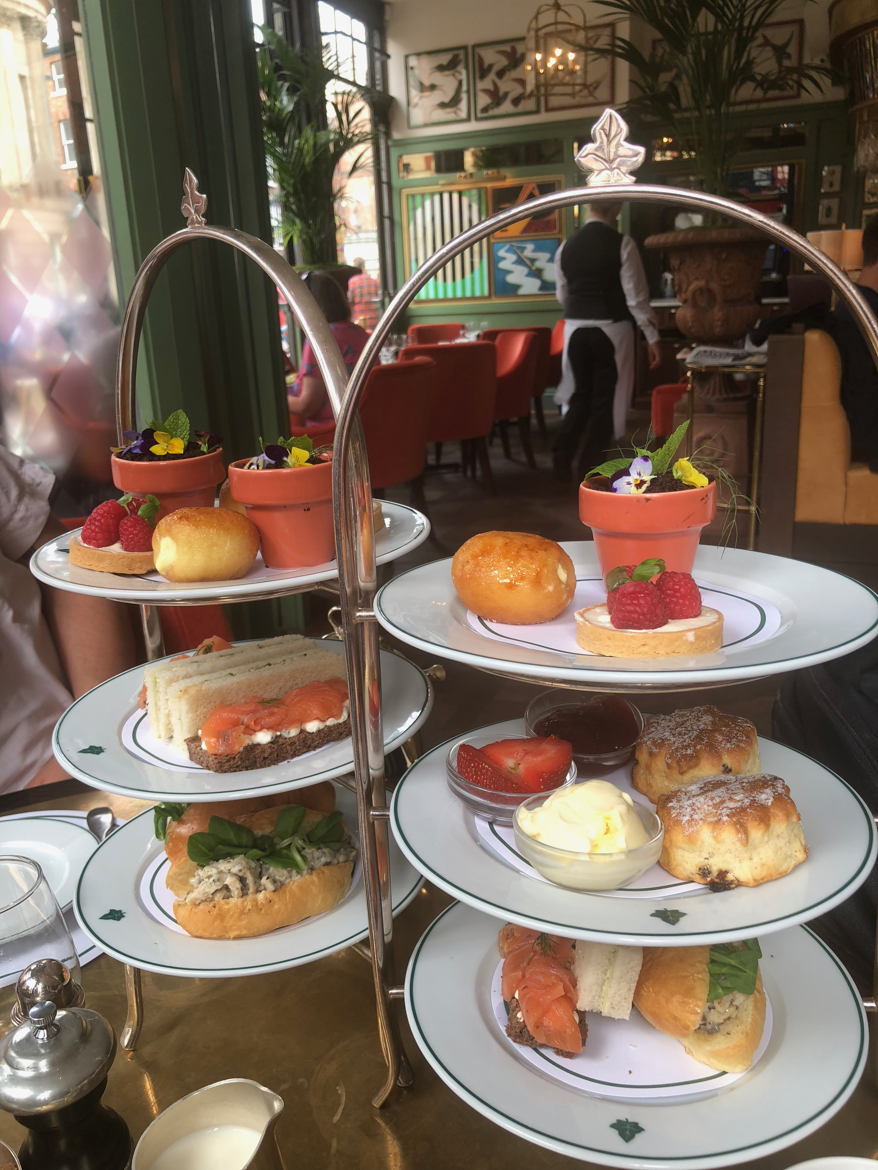 The ivy store afternoon tea